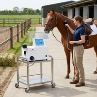 Appareil de Bio-résonance pour la Physiothérapie Équine : Instrument de Soutien et de Traitement de Santé pour Chevaux