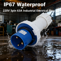 Prise industrielle étanche IP67 Nuoqiya 63A à courant élevé 220V 250V 2P+E 3 broches 63A