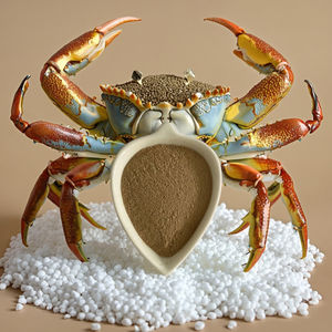 バチルス・サブチリス粉末1kg |   魚とエビのための養殖用プロバイオティクス飼料添加物 |   成長を促進し、FCRと腸の健康を向上させます - Product Image 3