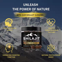 Gummies de Shilajit de l'Himalaya en gros 600mg – Mélange Herbal Pur de Shilajit, Ashwagandha, Gingembre – Antioxydant, Soutien Cérébral – OEM