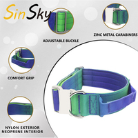 Ensemble laisse et collier pour chien SinSky Gradient Nylon, harnais pour chien facile à enfiler, harnais tactique robuste pour chien