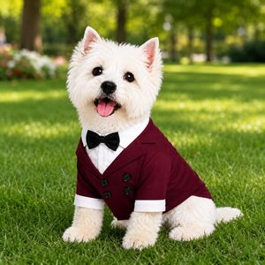 Wholesale Halloween Pet Costumes with Black Bow Tie <b>Cat</b> Costumes for Dogs Suit Wear Outfit Dog <b>Clothes</b> Custom Pet Costumes - Product Image 4
