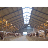 Structure en acier économique Hangar préfabriqué pour élevage de volailles/vaches/moutons