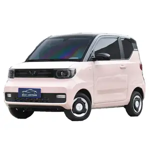 Segway Wuling Hongguang Mini araç 2 koltuk yüksek hızlı Mini elektrikli arabalar Carro Electrico yetişkinler için