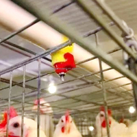 YYB LM23 Robinet à bille double verrouillage / J-lock en acier inoxydable pour abreuvoirs automatiques à tétine pour volailles