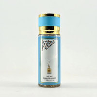 Parfum pour femmes très vendu, 250 ml, mini déodorant, spray corporel unisexe, parfum arabe de Dubaï, personnalisable