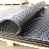 Tapis en caoutchouc pour bovins/chevaux/vaches laitières pour étal de ferme, service de transformation personnalisable, coupe et moulage
