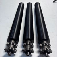 Rouleaux, pignons et tambours en acier inoxydable galvanisé pour lignes de production, disponibles sur mesure.