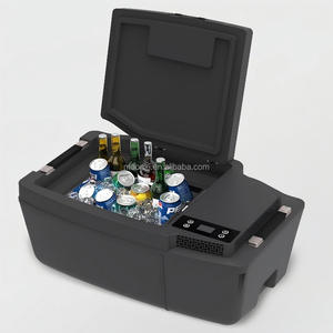 Réfrigérateur de coffre 20L à commande par application, écoénergétique, pour Model 3 et Model 3 Highland - Product Image 1