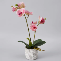 Fleur d'orchidée Phalaenopsis artificielle 3D au toucher réel avec base en ciment pour la décoration de la maison, des mariages et des fêtes