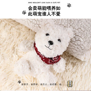 Interactive Toy Voice Ai Chatgpt Puppy Toys For Kids Educational Voice AI Interaction Companion <b>Figure</b> Customize 60 languages - Product Image 3