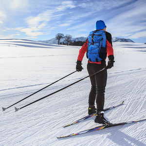 Mochila Deportiva Impermeable al por Mayor de Fábrica, Mochila Personalizada Unisex Informal para Campamento, Senderismo y Viajes al Aire Libre - Product Image 4