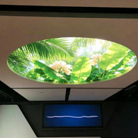 Pantalla LED Redonda a Todo Color para Fondo de Escenario en Conciertos
