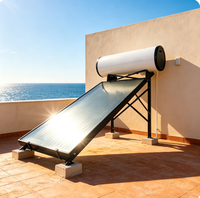 Chauffe-eau solaire pressurisé à plaque plate intégré puissant Lebria 300L pour installation sur toit résidentiel