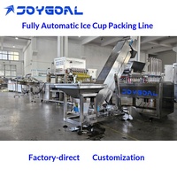 Machine d'emballage entièrement automatique pour le remplissage et la scellage des glaçons pour les aliments et les boissons avec garantie d'un an, ligne de production de gobelets à glace