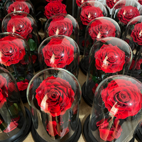 Le fabricant d'usine fournit un service à guichet unique Les fleurs de roses rouges ne se fanent jamais Les vraies roses conservées pour toujours Rose dans un dôme en verre