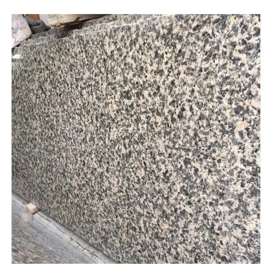 Prezzo delle lastre di granito verde pelle leopardata per piastrelle tagliate su misura
