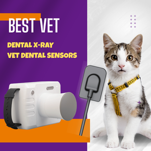 Équipement portable de radiologie buccale vétérinaire, système DR dentaire pour animaux, dentisterie vétérinaire - Product Image 1