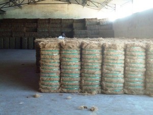 Fibre de coco écologique 6cm-20cm Emballage en vrac pour l'agriculture-Fournisseurs de gros - Product Image 2