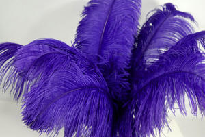 DÉCORATION DE FÊTE PLUME D'AUTRUCHE ROSE - Product Image 2