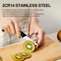 Offre Spéciale : Lot de 6 Couteaux d'Office à Lames en Acier Inoxydable, Manche Ergonomique en Plastique, Boîte Colorée – Ustensile de Cuisine pour Usage Quotidien