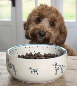 Joli bol d'eau pour chien Bol de conception de motif de chien tacheté pour animaux de compagnie Bol pour chien personnalisé une merveilleuse idée cadeau pour votre animal de compagnie bien-aimé - Product Image 3