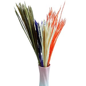Ventes directes d'usine coloré préservé Kirin herbe fleurs réel naturel séché licorne herbe coton Setaria <span class=keywords><strong>Pumila</strong></span> nouvelle-zélande - Product Image 5