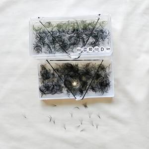 Extensions de cils synthétiques 8D Camellia en soie, volume individuel, professionnelles, naturelles, longues, faites à la main, douces, sexy, noires, vente en gros - Product Image 5