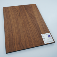 Panneau décoratif minimaliste en placage de bois naturel préfini Golden Chameleon, finition laquée Excimer, écologique, durable, de qualité supérieure