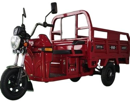 Triciclo Moto Tre Ruote Custom Trike Moto A Ruote Anteriori Moto