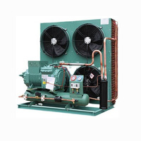 Unités de condensation R290/380V écoénergétiques et écologiques pour compresseurs, avec contrôle par micro-ordinateur et composants de moteur clés connectables