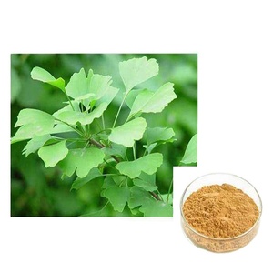 Extracto Herbal de Ginkgo Biloba 100% Natural en Polvo, Precio de Fábrica, Marca BOZEWON, Grado para <span class=keywords><strong>Dilatar</strong></span> <span class=keywords><strong>Vasos</strong></span> <span class=keywords><strong>Sanguíneos</strong></span>, Mejora la Memoria, Empaquetado en Tambor - Product Image 2