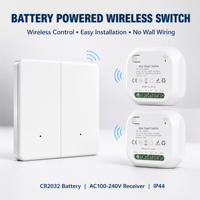 Interrupteur sans fil à piles CR2032, type 86, panneau mural, récepteur AC100-240V, IP44, 2 entrées 2 sorties, fournisseur OEM ODM B2B pour la maison