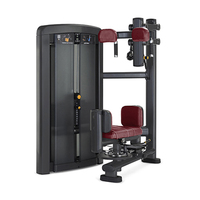 Machine de rotation de torse professionnelle en acier Liva LW-X019 avec logo personnalisé, appareil d'entraînement de force multifonctionnel d'intérieur pour usage commercial