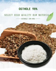 Giá tốt nhất cnidium monnieri chiết xuất osthole 80% Fructus cnidii - Product Image 5