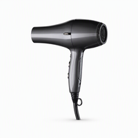 Sèche-cheveux ionique 3000W avec moteur AC et buse concentratrice, qualité professionnelle pour hôtel et usage domestique