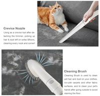 Aspirateur professionnel silencieux 5 en 1 pour toilettage des animaux, kit de nettoyage portable pour animaux, pour l'entretien quotidien des poils