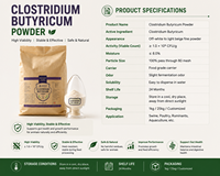 Probiotique Clostridium Butyricum de Qualité Supérieure 10 Milliards d'UFC pour l'Alimentation des Crevettes et des Poissons en Aquaculture, Additif pour la Santé Intestinale et la Croissance