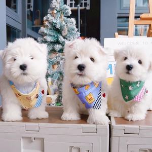 Babador Ajustável com Estampa de Animais de Estimação, Acessórios para Cães, Roupas para Gatos e Cães, Acessórios para Festa de Aniversário - Product Image 2