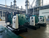 Générateur diesel électrique de secours conteneurisé Deutz sans balais IP55 1500 tr/min triphasé 400 V 50 Hz pour l'Afrique du Sud