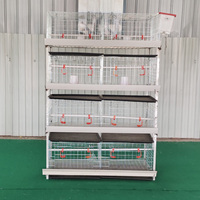 Cage à poulets à 4 niveaux pour 1000 oiseaux, prix d'usine