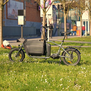Nueva Bicicleta Eléctrica de 2 Ruedas, E-cargo Familiar de 250w en Venta, Mini Stock Disponible en Nuestro Almacén de la UE, Actualmente Estamos Buscando Distribuidores - Product Image 1