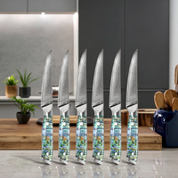 Ensemble de couteaux à steak modernes en acier inoxydable avec manche en coquille d'ormeau Boîte cadeau OEM pour steaks de boeuf dans la cuisine de restaurant