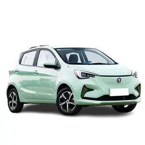 2023 Direct Supplier Changan Automobile Green New Energy 5-seat Benben E-Star Pure Electric Car