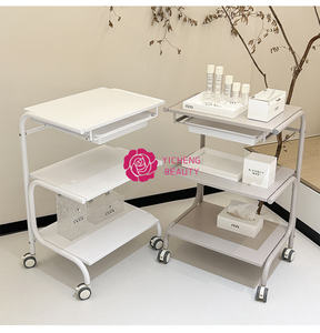 Yicheng Beauty nouvelle mode chariot multicouche chariot Salon <span class=keywords><strong>3</strong></span> couches chariot chariot étagères roulantes organisateur de stockage chariot chariot - Product Image 5
