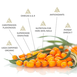 Suplemen makanan Multi-vitamin Seabuckthorn minyak ekstrak permen karet anti-penuaan <span class=keywords><strong>Marshmallow</strong></span> - Product Image 3