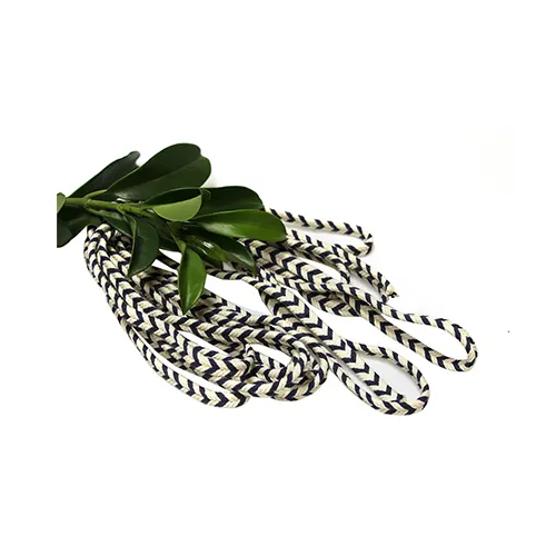 Proper Price 100% Polyester Shoelace Braided Bracelet Rope White Hoodie String Nanyi