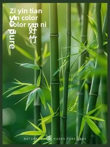 Flauta de Pájaro, Silbato de Pájaro, Llamador de Ranas, Instrumento Musical Occidental - Profesional - Hecho de Bambú Natural en China; Música Educativa - Product Image 4