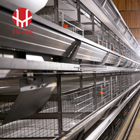Cage à batterie de type H robuste avec système de collecte automatique des œufs par convoyeur pour l'élevage et la récolte des œufs des poules pondeuses