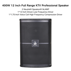 Tùy Chỉnh Bên Tổ Chức Sự Kiện Âm Thanh Máy Âm Thanh Chuyên Nghiệp 450W Thụ Động 12-Inch Loa Chuyên Nghiệp - Product Image 2